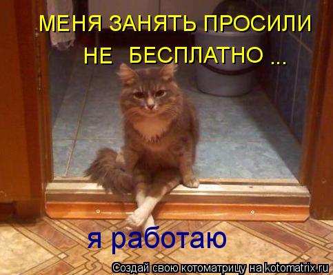 МЕНЯ ЗАНЯТЬ ПРОСИЛИ БЕСПЛАТНО НЕ ... я работаю... Котоматрица: МЕНЯ ЗАНЯТЬ ПРОСИЛИ БЕСПЛАТНО НЕ ... я работаю
