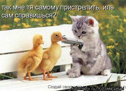 так мне тя самому пристрелить, иль сам справишься? Создай свою котоматрицу на kotomatrix.ru... Котоматрица: так мне тя самому пристрелить, иль сам справишься? Создай свою котоматрицу на kotomatrix.ru