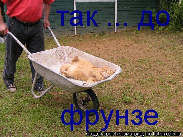 так ... до фрунзе... Котоматрица: так ... до фрунзе