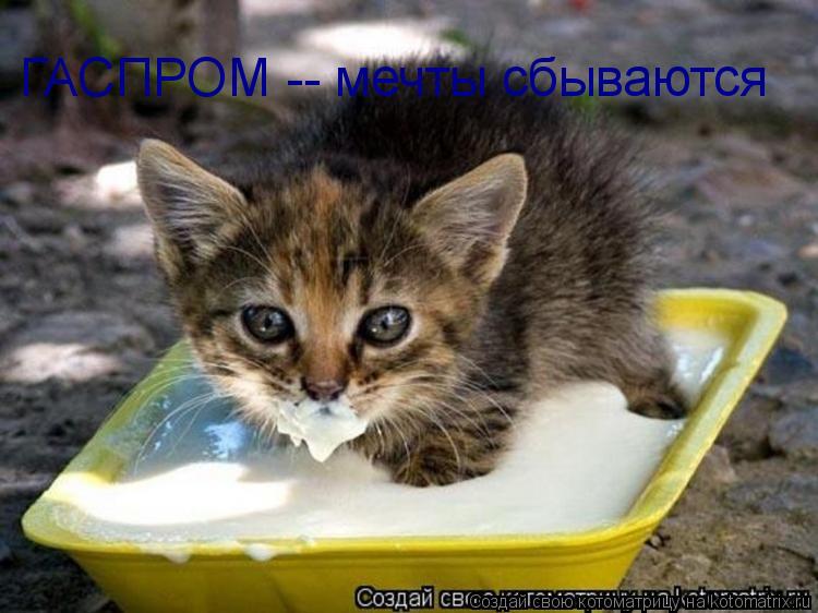 ГАСПРОМ -- мечты сбываются... Котоматрица: ГАСПРОМ -- мечты сбываются