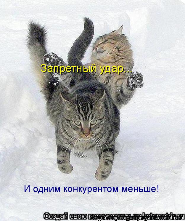 Запретный удар... И одним конкурентом меньше!... Котоматрица: Запретный удар... И одним конкурентом меньше!