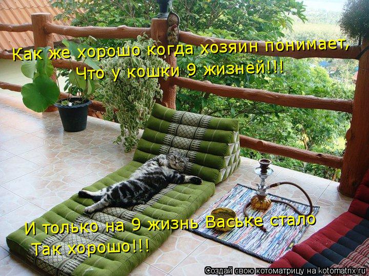 Как же хорошо когда хозяин понимает , Что у кошки 9 жизней!!! И только на 9 жизнь Ваське стало Так хо... Котоматрица: Как же хорошо когда хозяин понимает , Что у кошки 9 жизней!!! И только на 9 жизнь Ваське стало Так хорошо!!!