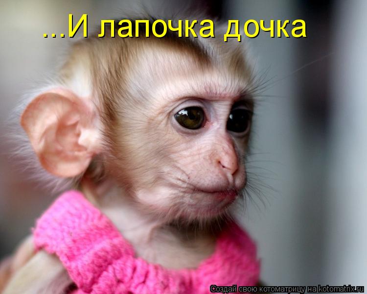 ...И лапочка дочка... Котоматрица: ...И лапочка дочка
