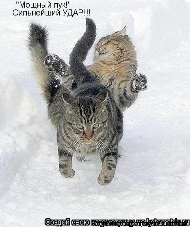 "Мощный пук!" Сильнейший УДАР!!!... Котоматрица: "Мощный пук!" Сильнейший УДАР!!!
