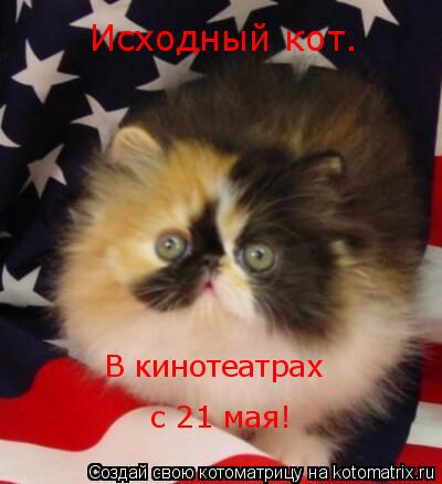 Исходный кот. В кинотеатрах с 21 мая!... Котоматрица: Исходный кот. В кинотеатрах с 21 мая!