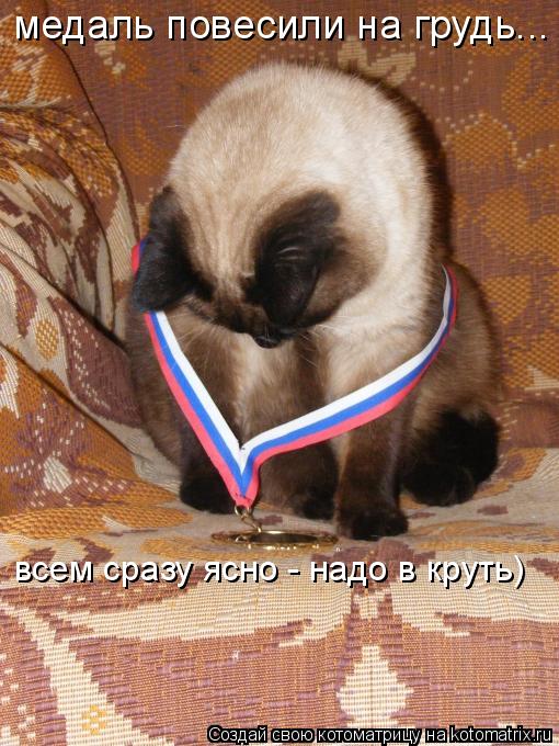 медаль повесили на грудь... всем сразу ясно - надо в круть)... Котоматрица: медаль повесили на грудь... всем сразу ясно - надо в круть)