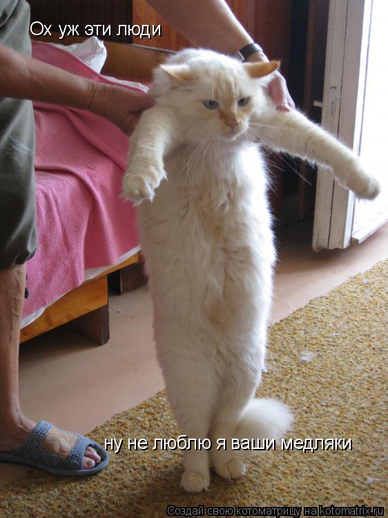 ну не люблю я ваши медляки Ох уж эти люди... Котоматрица: ну не люблю я ваши медляки Ох уж эти люди