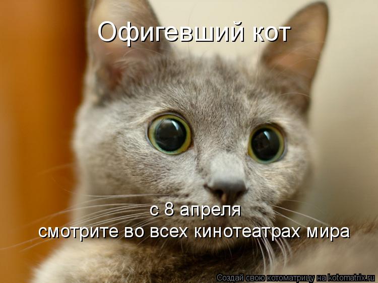 Офигевший кот смотрите во всех кинотеатрах мира с 8 апреля... Котоматрица: Офигевший кот смотрите во всех кинотеатрах мира с 8 апреля
