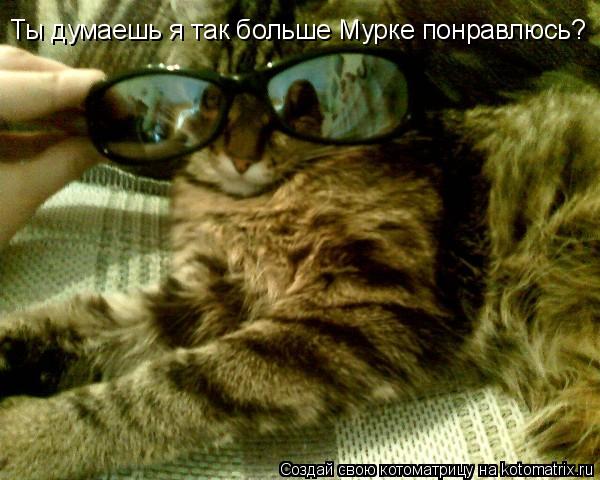 Ты думаешь я так больше Мурке понравлюсь?... Котоматрица: Ты думаешь я так больше Мурке понравлюсь?