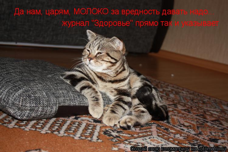Да нам, царям, МОЛОКО за вредность давать надо... журнал "Здоровье" прямо так и указывает... Котоматрица: Да нам, царям, МОЛОКО за вредность давать надо... журнал "Здоровье" прямо так и указывает