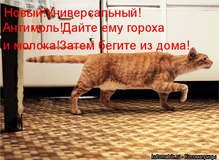 Новый!Универсальный! Антимоль!Дайте ему гороха и молока!Затем бегите из дома!... Котоматрица: Новый!Универсальный! Антимоль!Дайте ему гороха и молока!Затем бегите из дома!