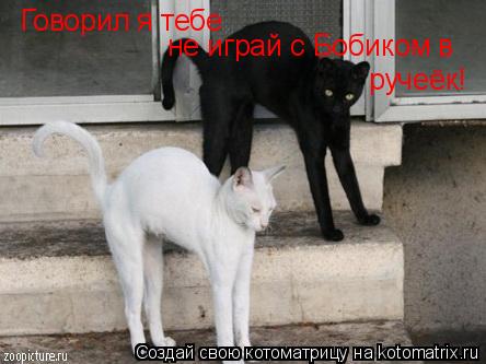 Говорил я тебе не играй с Бобиком в ручеёк!... Котоматрица: Говорил я тебе не играй с Бобиком в ручеёк!