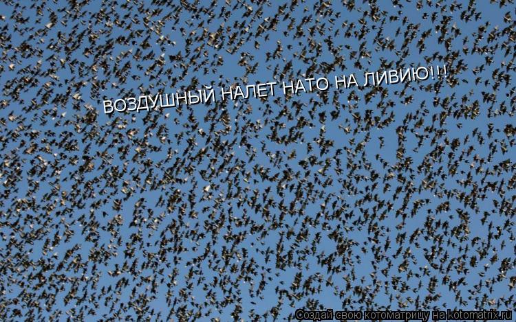 ВОЗДУШНЫЙ НАЛЕТ НАТО НА ЛИВИЮ!!! ВОЗДУШНЫЙ НАЛЕТ НАТО НА ЛИВИЮ!!!... Котоматрица: ВОЗДУШНЫЙ НАЛЕТ НАТО НА ЛИВИЮ!!! ВОЗДУШНЫЙ НАЛЕТ НАТО НА ЛИВИЮ!!!