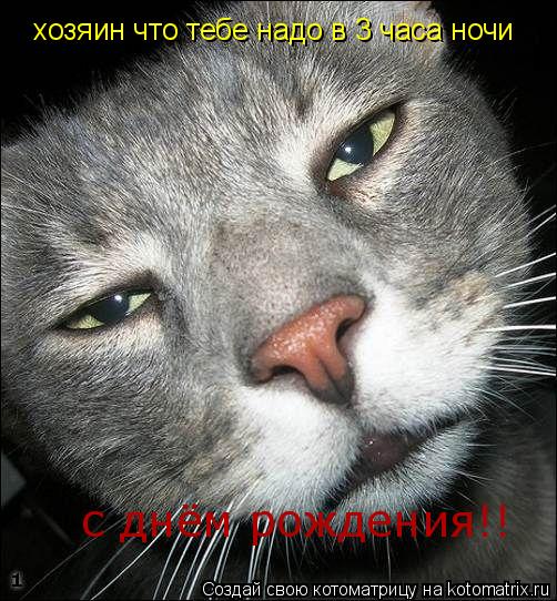 хозяин что тебе надо в 3 часа ночи с днём рождения!!... Котоматрица: хозяин что тебе надо в 3 часа ночи с днём рождения!!