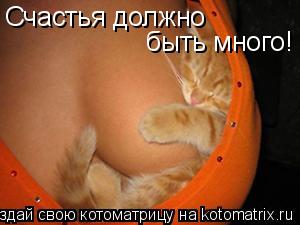 Счастья должно быть много!... Котоматрица: Счастья должно быть много!