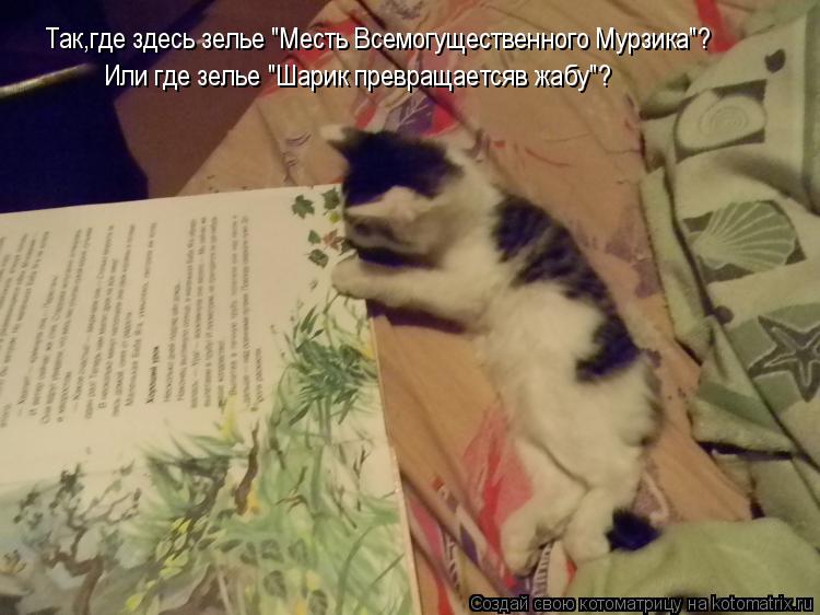 Так,где здесь зелье "Месть Всемогущественного Мурзика"? Или где зелье "Шарик превращаетсяв жабу"?... Котоматрица: Так,где здесь зелье "Месть Всемогущественного Мурзика"? Или где зелье "Шарик превращаетсяв жабу"?