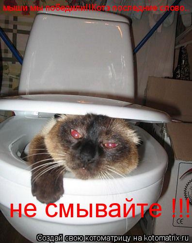 мыши мы победили!!Котэ последние слово.. не смывайте !!!... Котоматрица: мыши мы победили!!Котэ последние слово.. не смывайте !!!