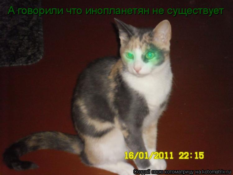 А говорили что инопланетян не существует... Котоматрица: А говорили что инопланетян не существует