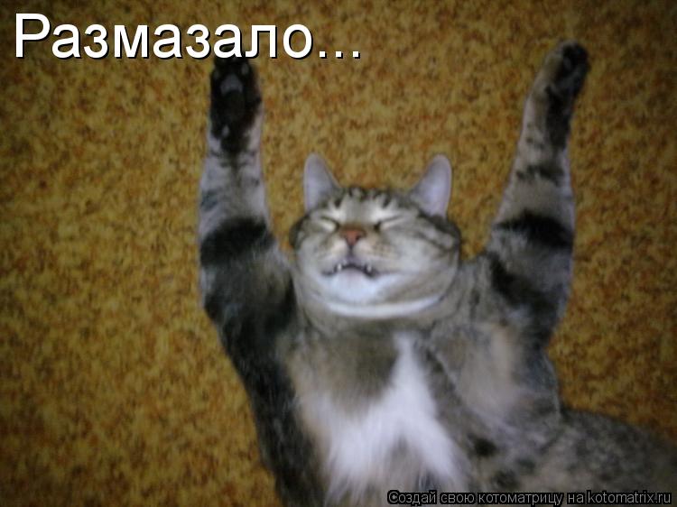 Размазало...... Котоматрица: Размазало...