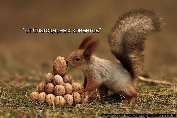 "от благодарных клиентов"... Котоматрица: "от благодарных клиентов"