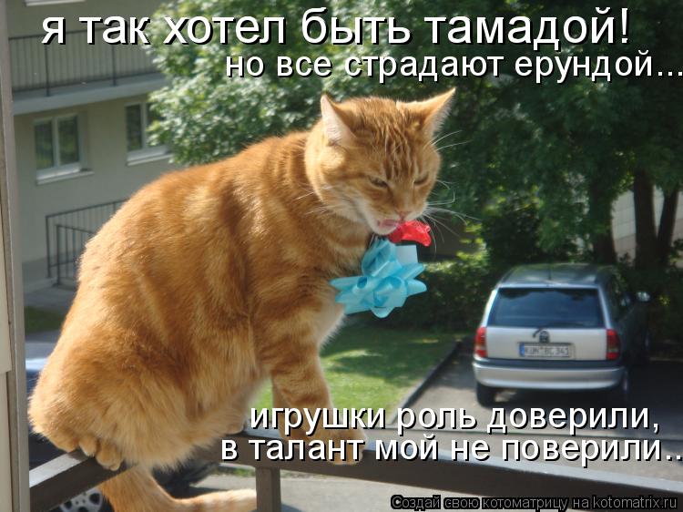 я так хотел быть тамадой! я так хотел быть тамадой! но все страдают ерундой... игрушки роль доверили,... Котоматрица: я так хотел быть тамадой! я так хотел быть тамадой! но все страдают ерундой... игрушки роль доверили, в талант мой не поверили...