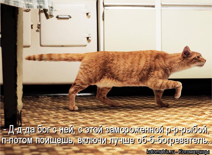 п-потом поищешь, включи лучше об-б-богреватель.. - Д-д-да бог с ней, с этой замороженной р-р-рыбой,... Котоматрица: п-потом поищешь, включи лучше об-б-богреватель.. - Д-д-да бог с ней, с этой замороженной р-р-рыбой,