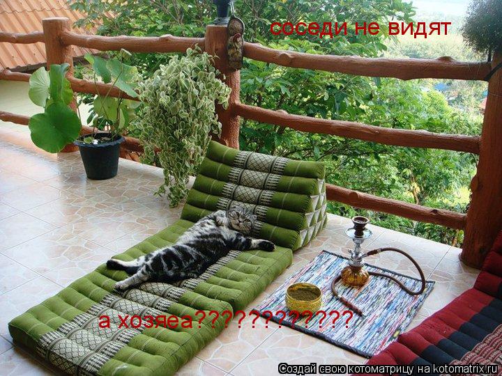 соседи не видят а хозяеа????????????... Котоматрица: соседи не видят а хозяеа????????????