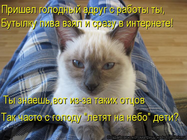 Пришел голодный вдруг с работы ты, Бутылку пива взял и сразу в интернете! Ты знаешь,вот из-за таких о... Котоматрица: Пришел голодный вдруг с работы ты, Бутылку пива взял и сразу в интернете! Ты знаешь,вот из-за таких отцов Так часто с голоду "летят на небо" де