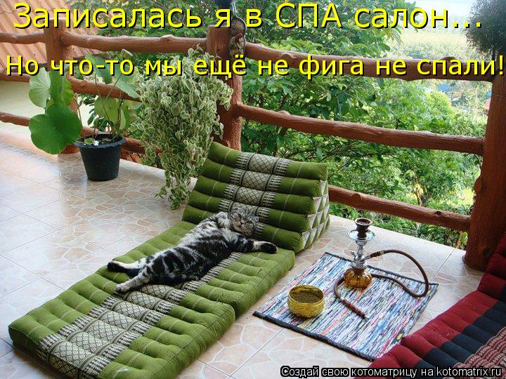 Записалась я в СПА салон... Но что-то мы ещё не фига не спали!... Котоматрица: Записалась я в СПА салон... Но что-то мы ещё не фига не спали!