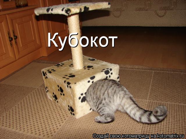 Кубокот... Котоматрица: Кубокот