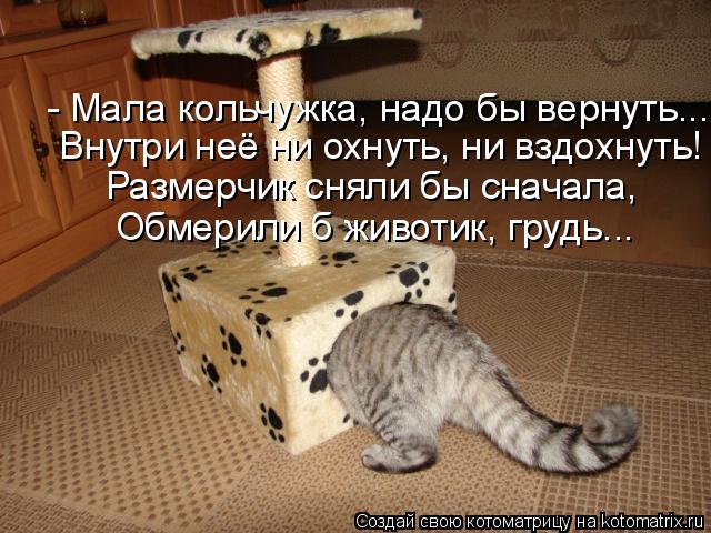 - Мала кольчужка, надо бы вернуть... Внутри неё ни охнуть, ни вздохнуть! Размерчик сняли бы сначала, ... Котоматрица: - Мала кольчужка, надо бы вернуть... Внутри неё ни охнуть, ни вздохнуть! Размерчик сняли бы сначала, Обмерили б животик, грудь...