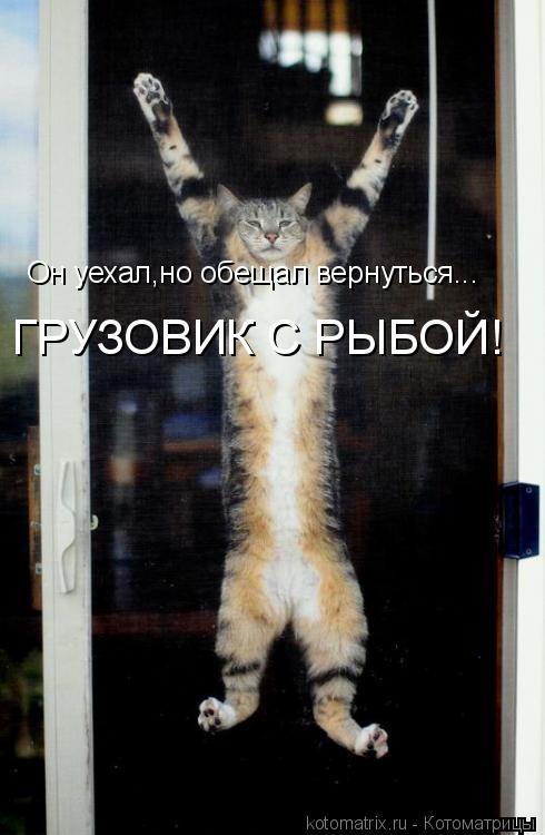 Он уехал,но обещал вернуться... ГРУЗОВИК С РЫБОЙ!... Котоматрица: Он уехал,но обещал вернуться... ГРУЗОВИК С РЫБОЙ!