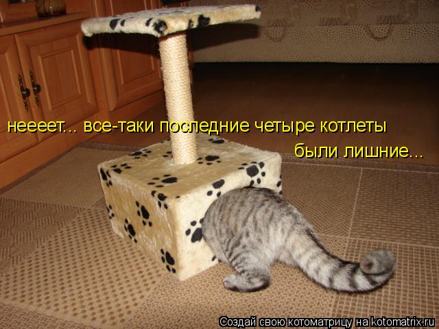 неееет... все-таки последние четыре котлеты были лишние...... Котоматрица: неееет... все-таки последние четыре котлеты были лишние...