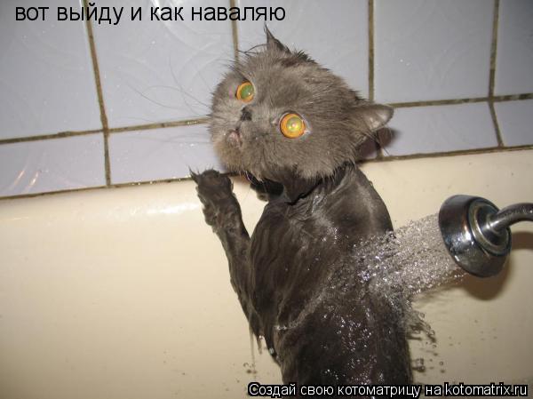 вот выйду и как наваляю... Котоматрица: вот выйду и как наваляю