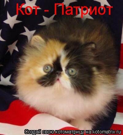 Кот - Патриот... Котоматрица: Кот - Патриот