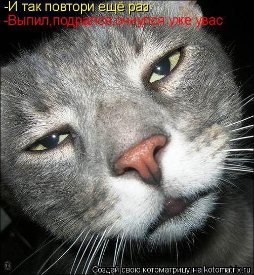 -И так повтори ещё раз -Выпил,подрался,очнулся уже увас... Котоматрица: -И так повтори ещё раз -Выпил,подрался,очнулся уже увас