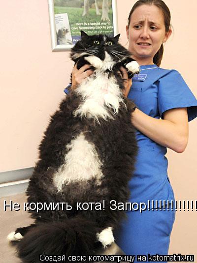 Не кормить кота! Запор!!!!!!!!!!!!!... Котоматрица: Не кормить кота! Запор!!!!!!!!!!!!!