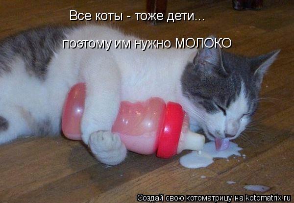 Все коты - тоже дети... поэтому им нужно МОЛОКО... Котоматрица: Все коты - тоже дети... поэтому им нужно МОЛОКО