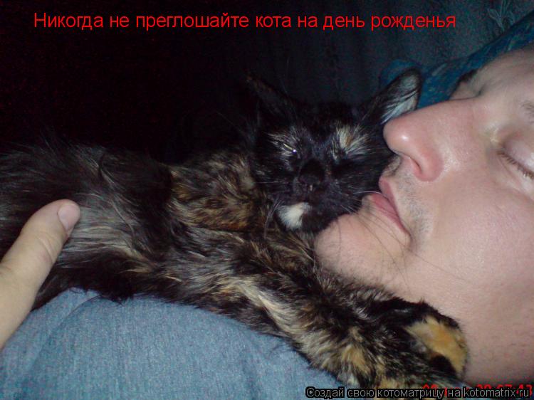 Никогда не преглошайте кота на день рожденья... Котоматрица: Никогда не преглошайте кота на день рожденья