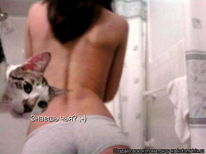 Знаешь чья? ;-)... Котоматрица: Знаешь чья? ;-)