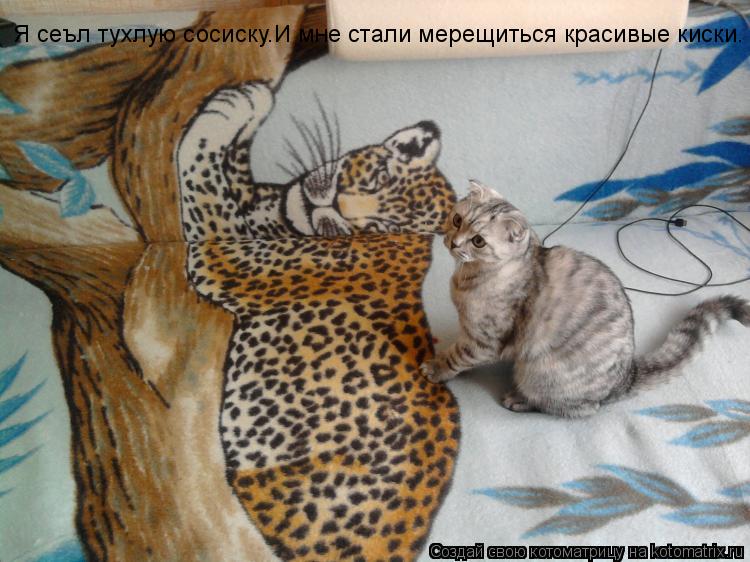 Я сеъл тухлую сосиску.И мне стали мерещиться красивые киски.... Котоматрица: Я сеъл тухлую сосиску.И мне стали мерещиться красивые киски.