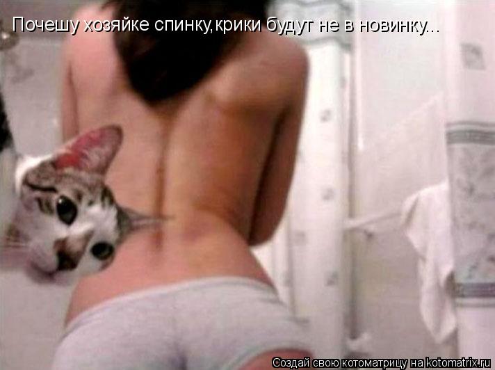 Почешу хозяйке спинку,крики будут не в новинку...... Котоматрица: Почешу хозяйке спинку,крики будут не в новинку...
