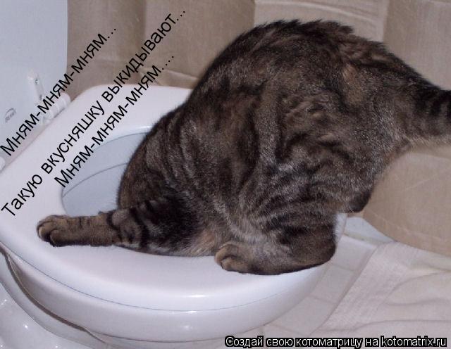Мням-мням-мням... Такую вкусняшку выкидывают... Мням-мням-мням....... Котоматрица: Мням-мням-мням... Такую вкусняшку выкидывают... Мням-мням-мням....