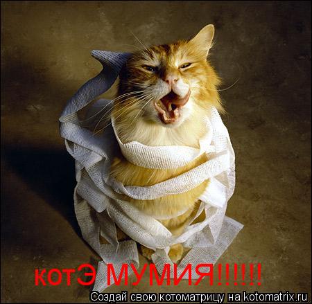 котЭ МУМИЯ!!!!!!... Котоматрица: котЭ МУМИЯ!!!!!!