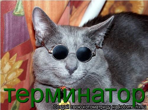 терминатор... Котоматрица: терминатор