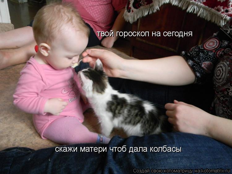 твой гороскоп на сегодня скажи матери чтоб дала колбасы... Котоматрица: твой гороскоп на сегодня скажи матери чтоб дала колбасы