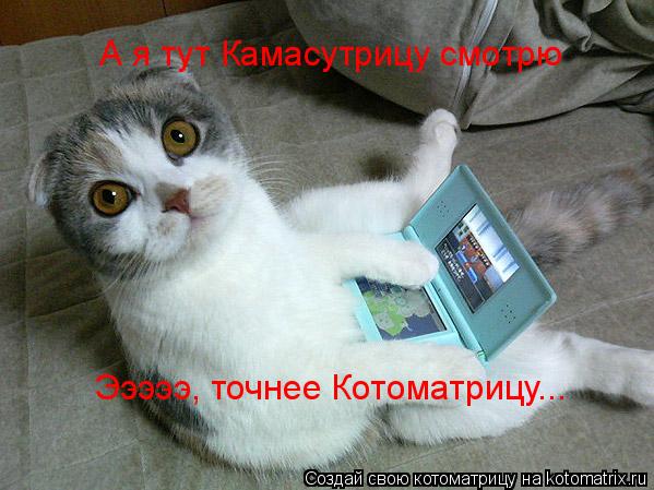 Эээээ, точнее Котоматрицу... А я тут Камасутрицу смотрю... Котоматрица: Эээээ, точнее Котоматрицу... А я тут Камасутрицу смотрю