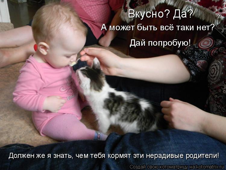 Вкусно? Да? А может быть всё таки нет? Дай попробую! Должен же я знать, чем тебя кормят эти нерадивые... Котоматрица: Вкусно? Да? А может быть всё таки нет? Дай попробую! Должен же я знать, чем тебя кормят эти нерадивые родители!