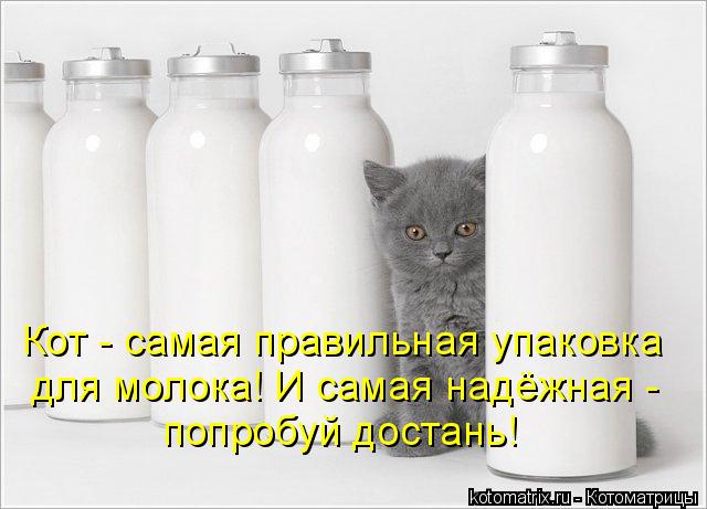 Кот - самая правильная упаковка для молока! И самая надёжная - попробуй достань!... Котоматрица: Кот - самая правильная упаковка для молока! И самая надёжная - попробуй достань!