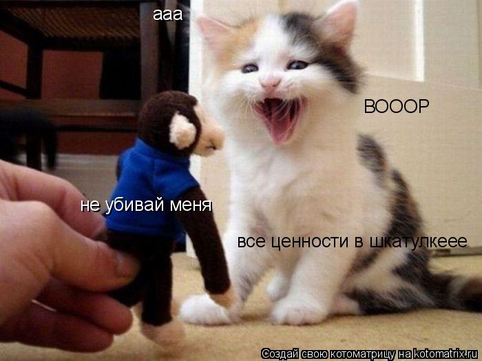 ааа ВОООР не убивай меня все ценности в шкатулкеее... Котоматрица: ааа ВОООР не убивай меня все ценности в шкатулкеее